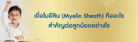 เยื่อไมอีลิน (Myelin Sheath) คืออะไร สำคัญต่อลูกน้อยอย่างไร