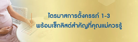 ไตรมาสการตั้งครรภ์ 1-3 พร้อมเช็กลิสต์สำคัญที่คุณแม่ควรรู้