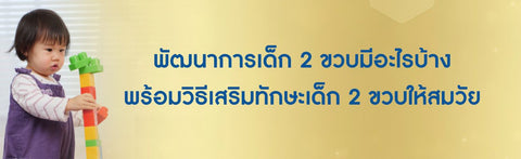 พัฒนาการเด็ก 2 ขวบมีอะไรบ้าง พร้อมวิธีเสริมทักษะเด็ก 2 ขวบ