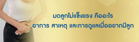 มดลูกไม่แข็งแรง คืออะไร วิธีบำรุงมดลูกให้แข็งแรงที่ควรรู้