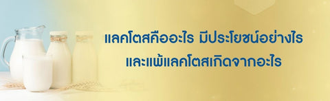 แลคโตสคืออะไร น้ำตาลแลคโตส มีประโยชน์อย่างไร